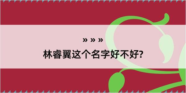 林睿翼这个名字好不好?