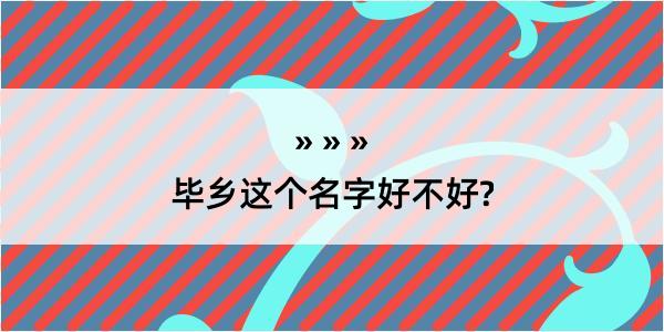 毕乡这个名字好不好?