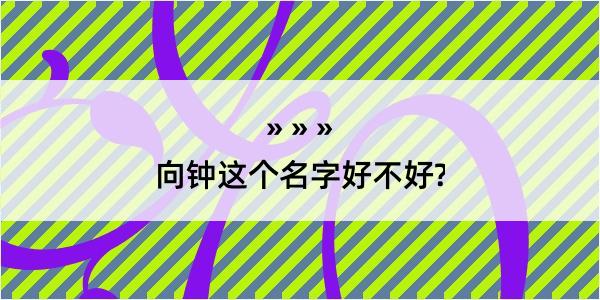 向钟这个名字好不好?