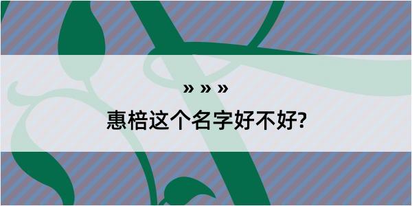 惠棓这个名字好不好?