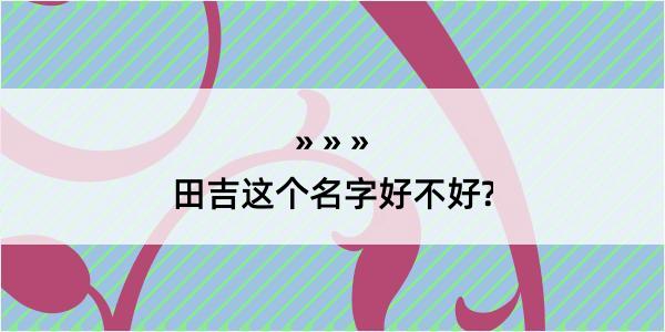 田吉这个名字好不好?