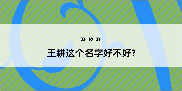 王耕这个名字好不好?