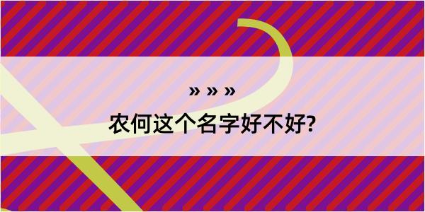 农何这个名字好不好?