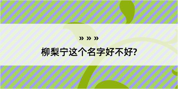 柳梨宁这个名字好不好?