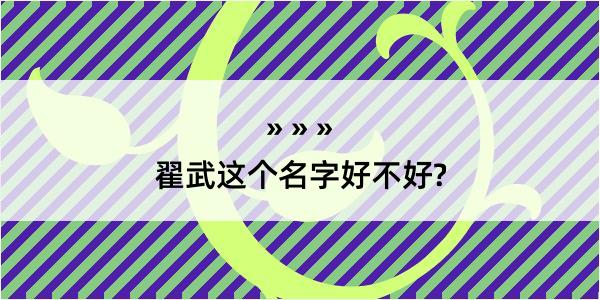 翟武这个名字好不好?