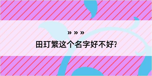 田玎繁这个名字好不好?