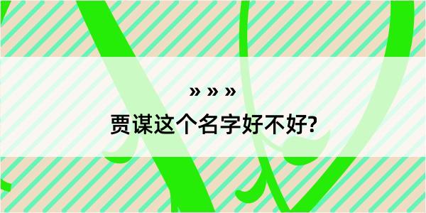 贾谋这个名字好不好?