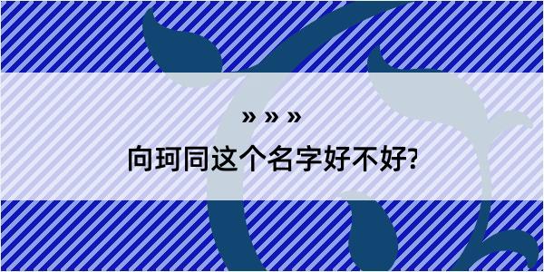 向珂同这个名字好不好?