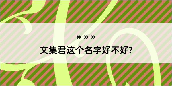 文集君这个名字好不好?