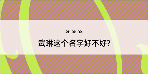 武琳这个名字好不好?