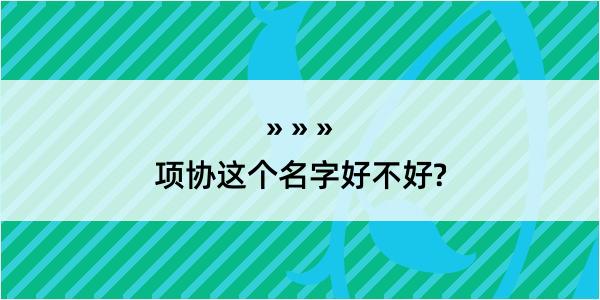 项协这个名字好不好?