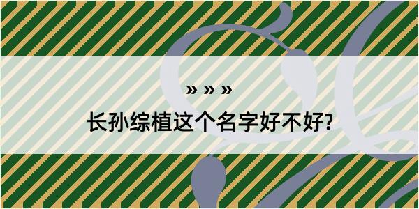 长孙综植这个名字好不好?