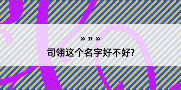 司翎这个名字好不好?