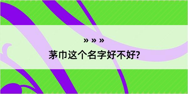 茅巾这个名字好不好?