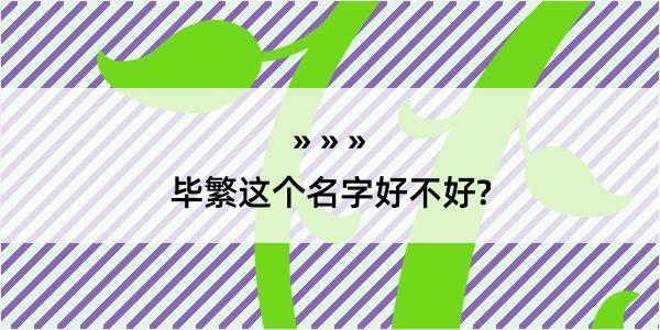 毕繁这个名字好不好?