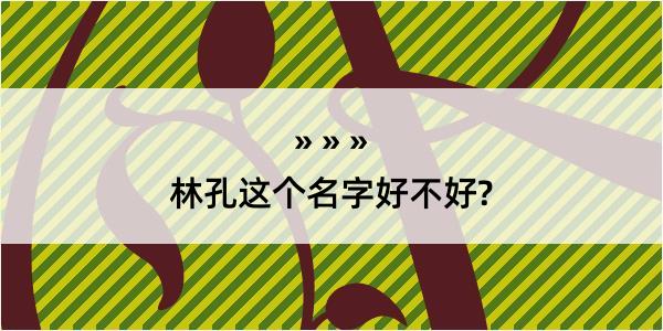 林孔这个名字好不好?