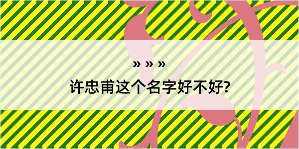 许忠甫这个名字好不好?