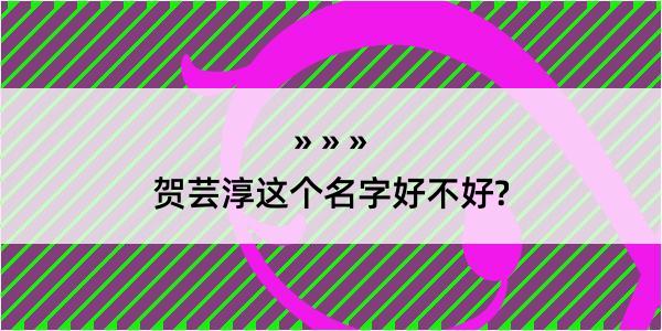 贺芸淳这个名字好不好?