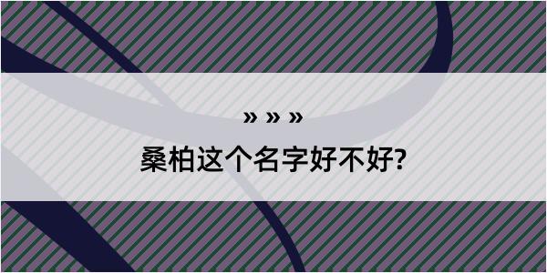 桑柏这个名字好不好?