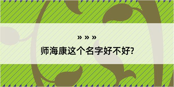 师海康这个名字好不好?