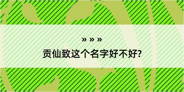 贡仙致这个名字好不好?