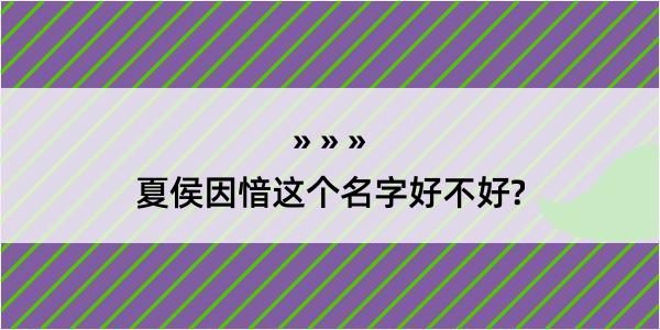 夏侯因愔这个名字好不好?