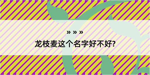 龙枝麦这个名字好不好?