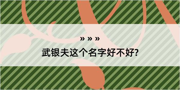 武银夫这个名字好不好?