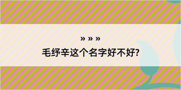 毛纾辛这个名字好不好?