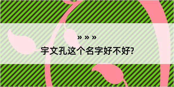 宇文孔这个名字好不好?