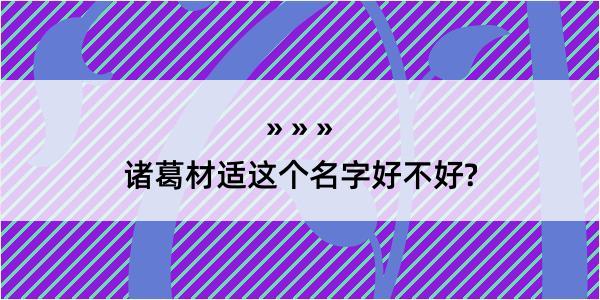 诸葛材适这个名字好不好?