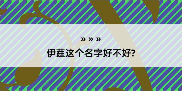 伊莛这个名字好不好?