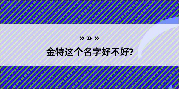 金特这个名字好不好?