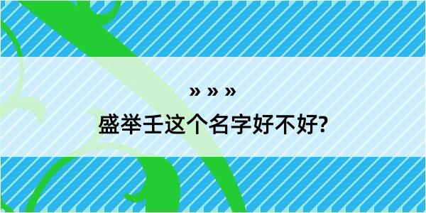 盛举壬这个名字好不好?