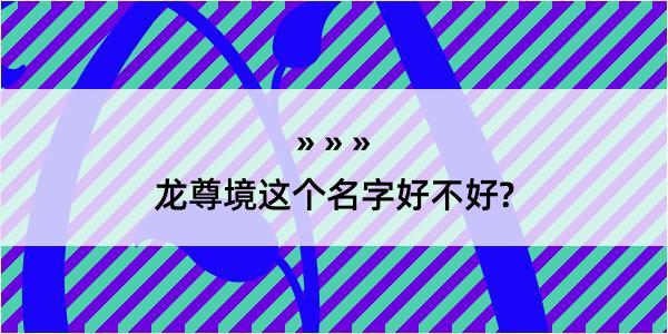 龙尊境这个名字好不好?