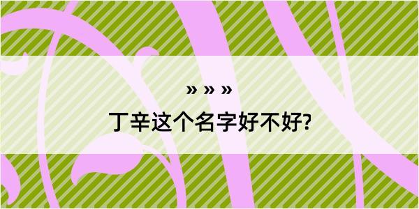 丁辛这个名字好不好?