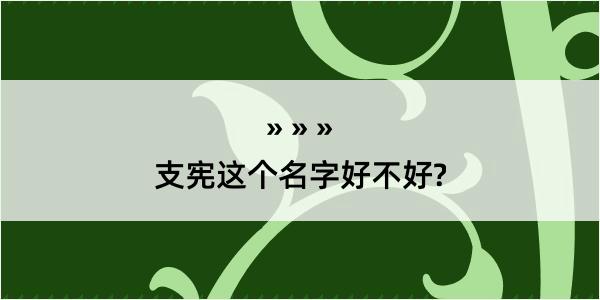 支宪这个名字好不好?