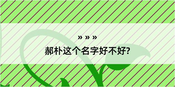 郝朴这个名字好不好?