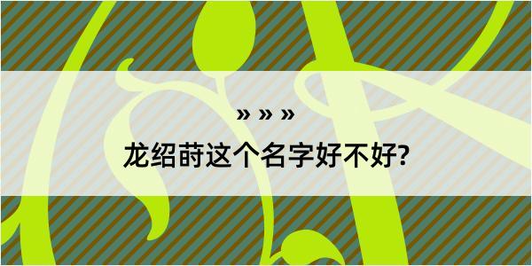 龙绍莳这个名字好不好?