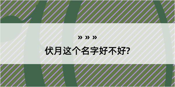 伏月这个名字好不好?