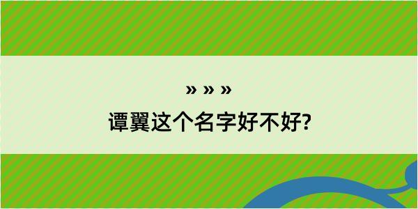 谭翼这个名字好不好?