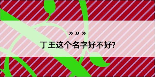 丁王这个名字好不好?