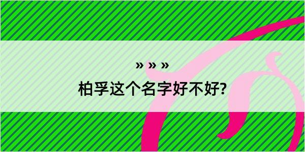 柏孚这个名字好不好?