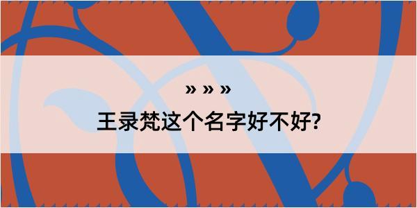 王录梵这个名字好不好?