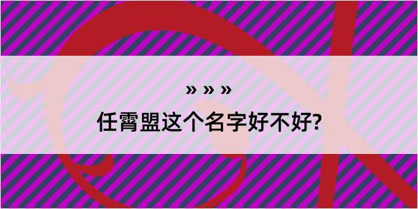 任霄盟这个名字好不好?