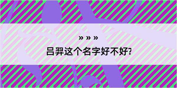 吕羿这个名字好不好?