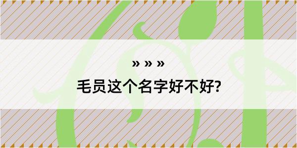 毛员这个名字好不好?