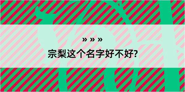 宗梨这个名字好不好?