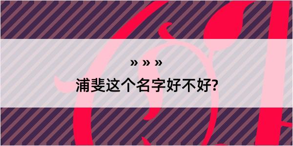 浦斐这个名字好不好?