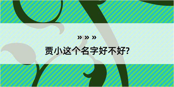 贾小这个名字好不好?